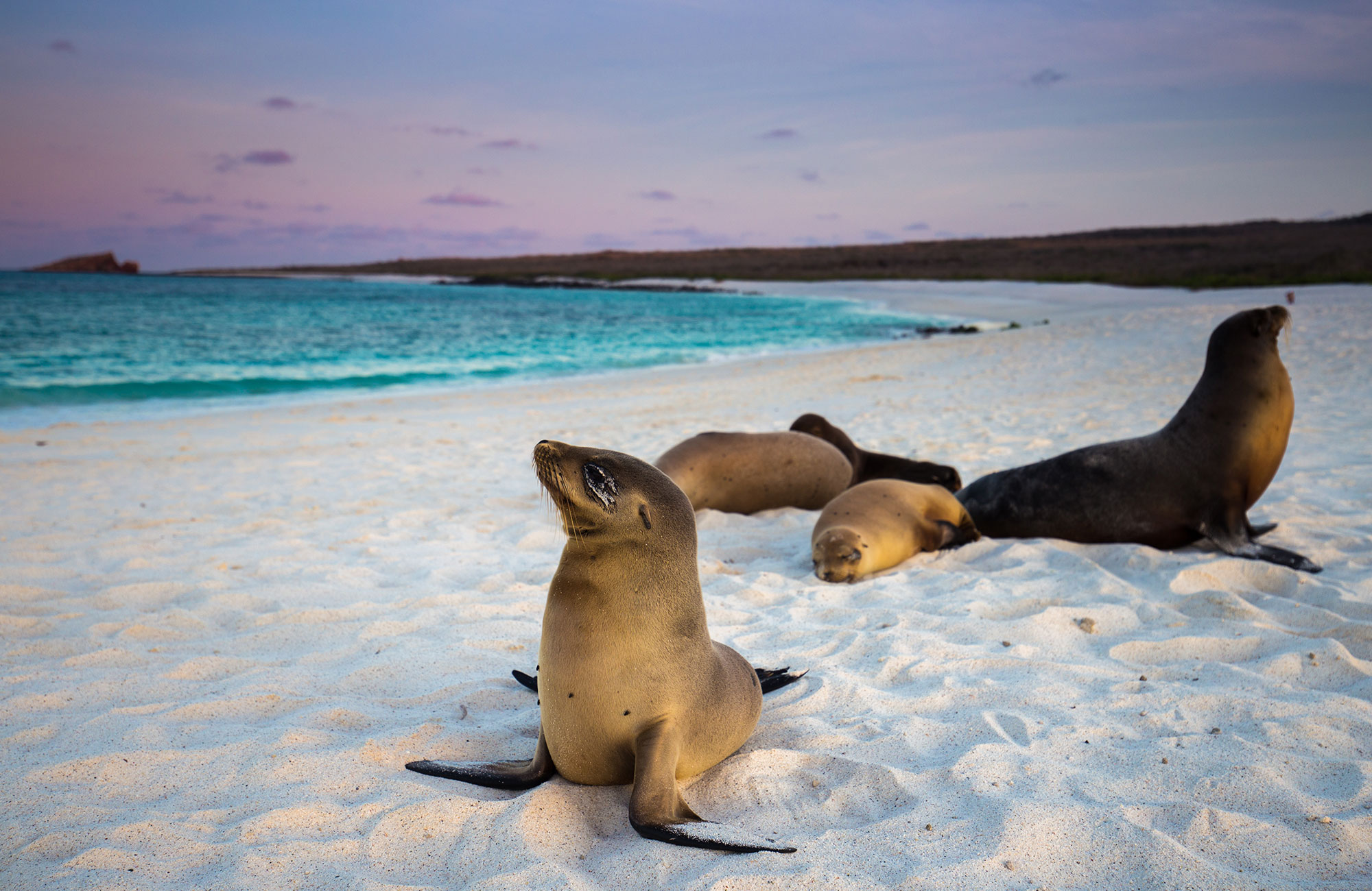 Etelä-Amerikan parhaimmisto - Galapagossaaret - KILROY